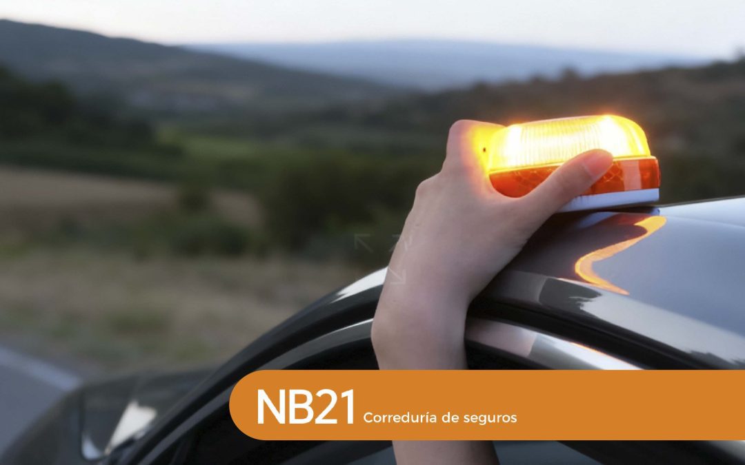 Baliza V16: obligatoria en 2026