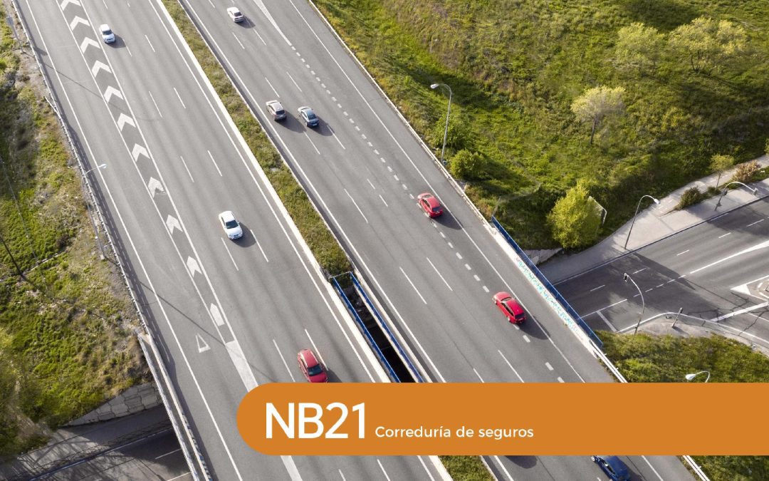 Nueva ley de Seguro de Auto: cambios y obligaciones